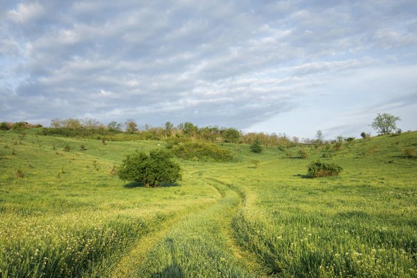 La cuisine à Giverny